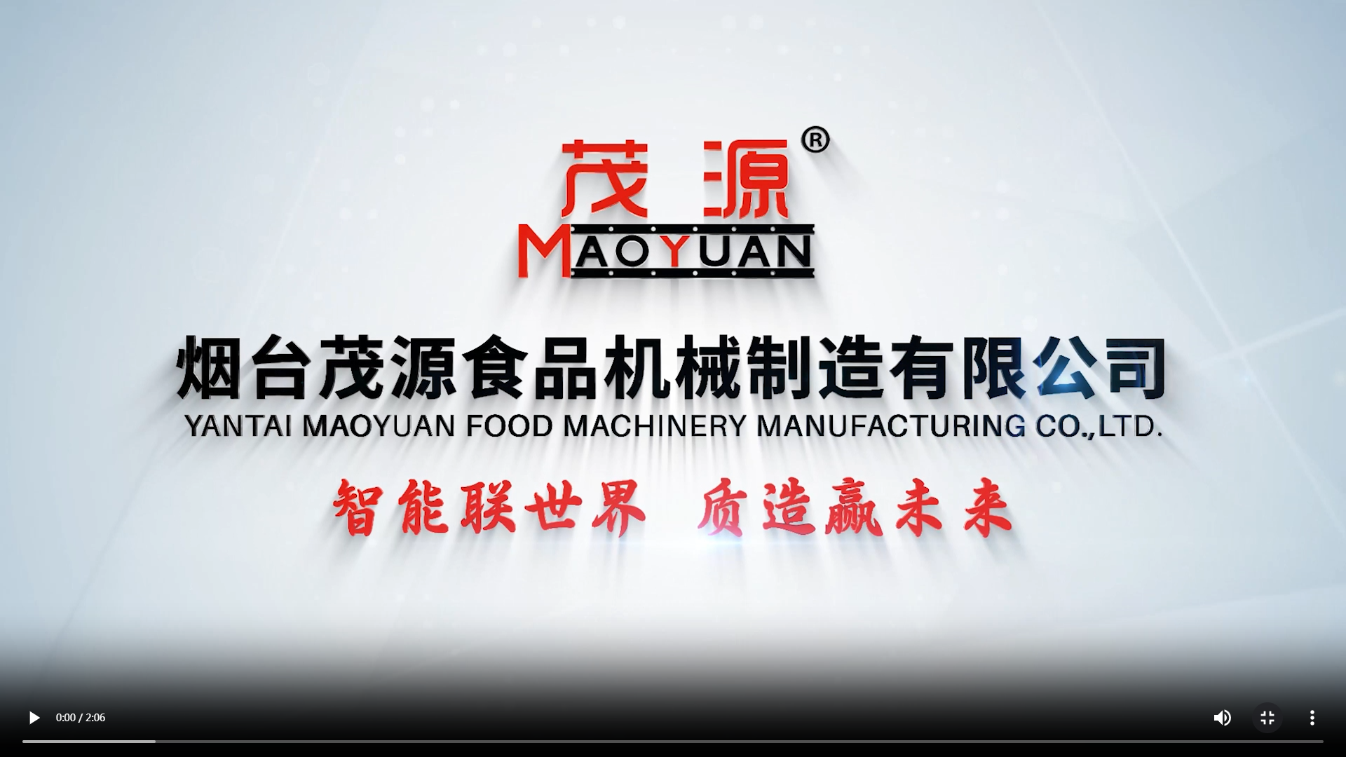 三十周年庆参观会议午宴