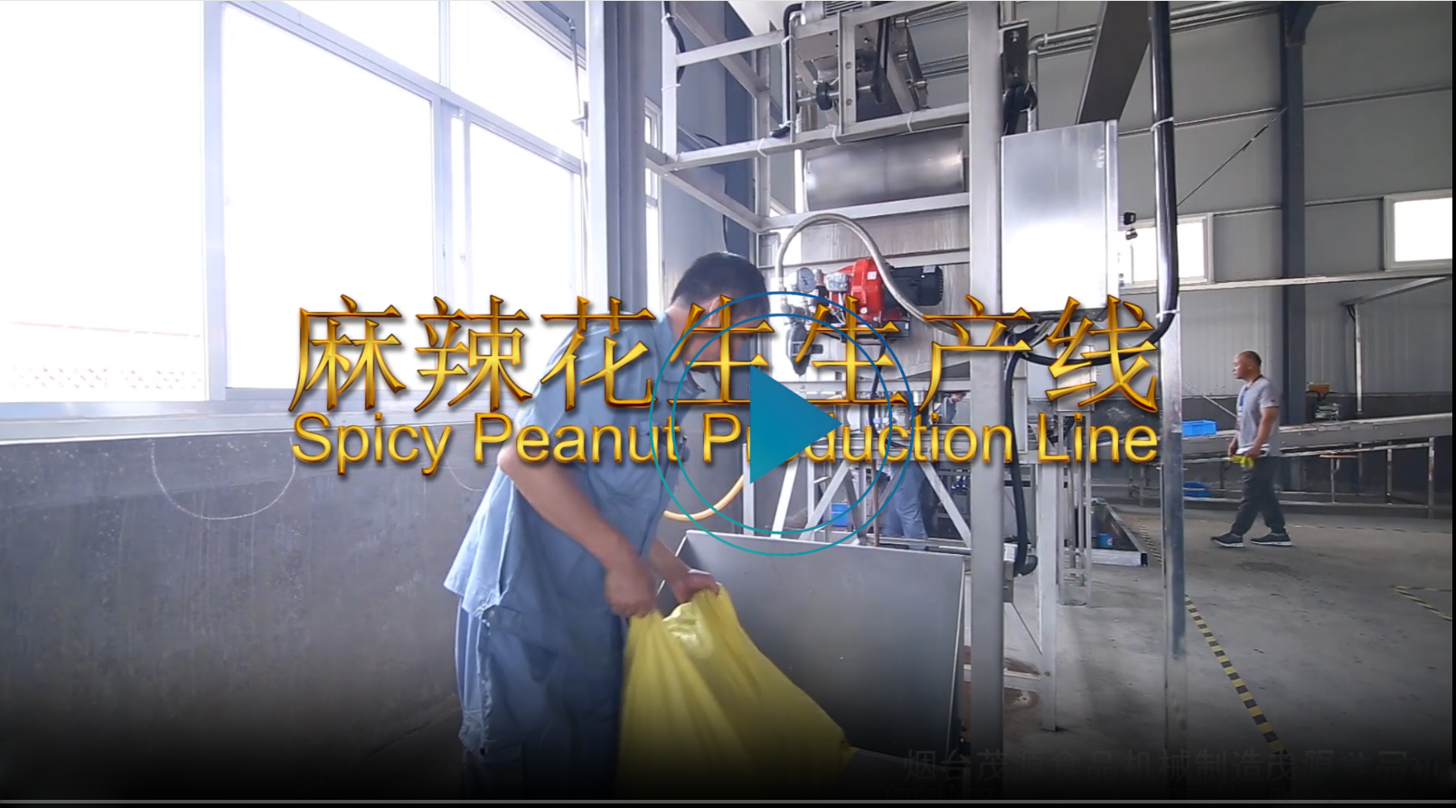 麻辣花生生产线