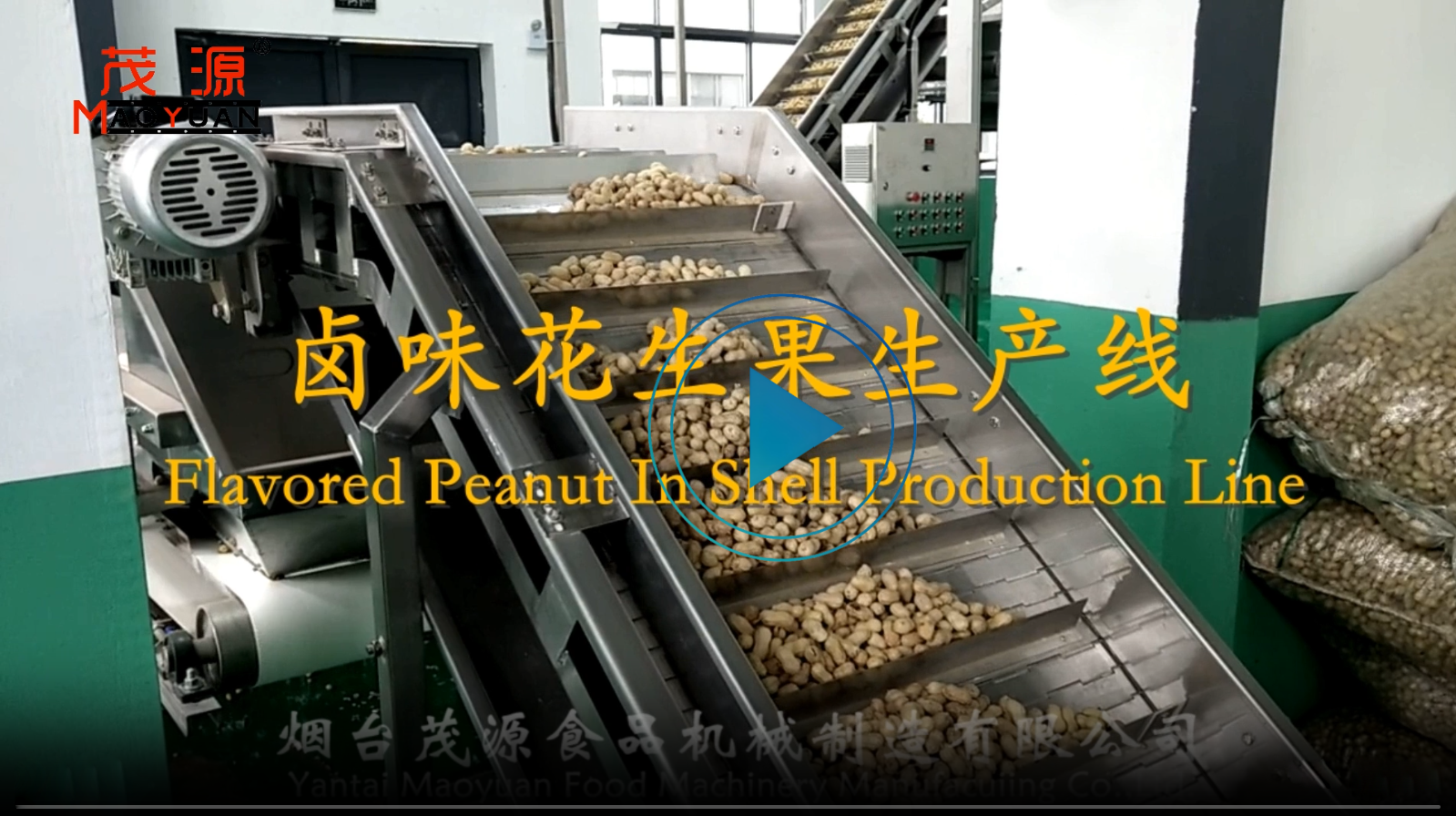 卤味花生果生产线