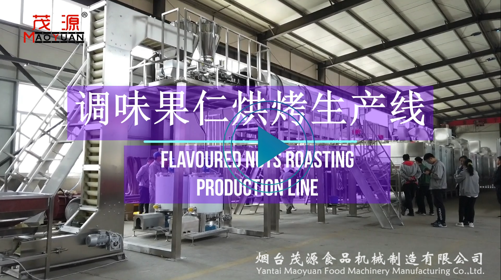 调味果仁烘烤生产线（茂源）