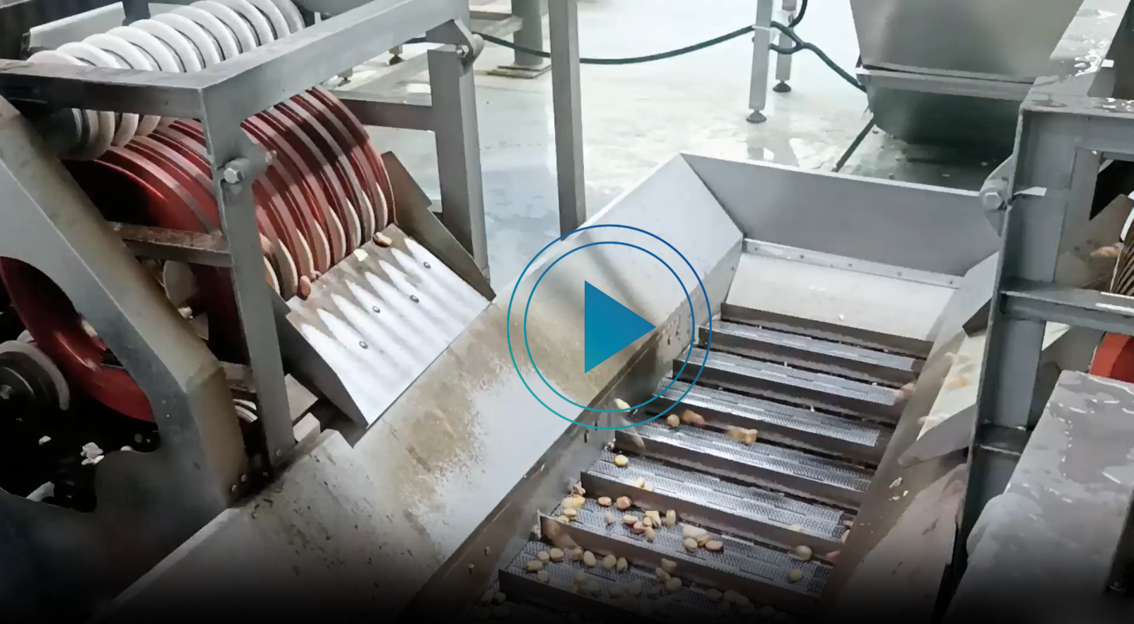 蚕豆油炸生产线