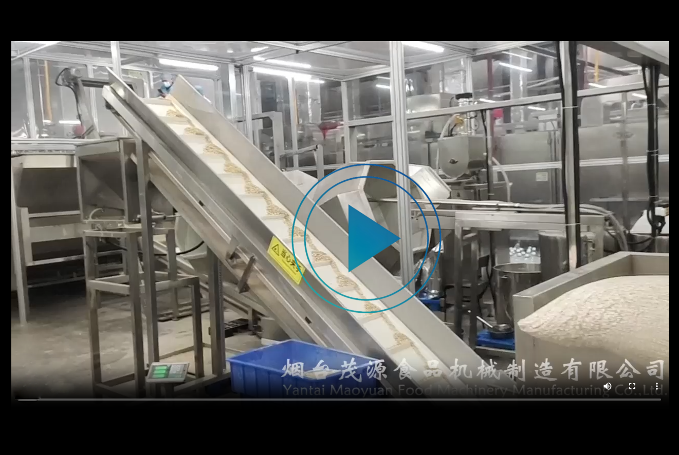 燕麦及坚果入味烘烤生产线