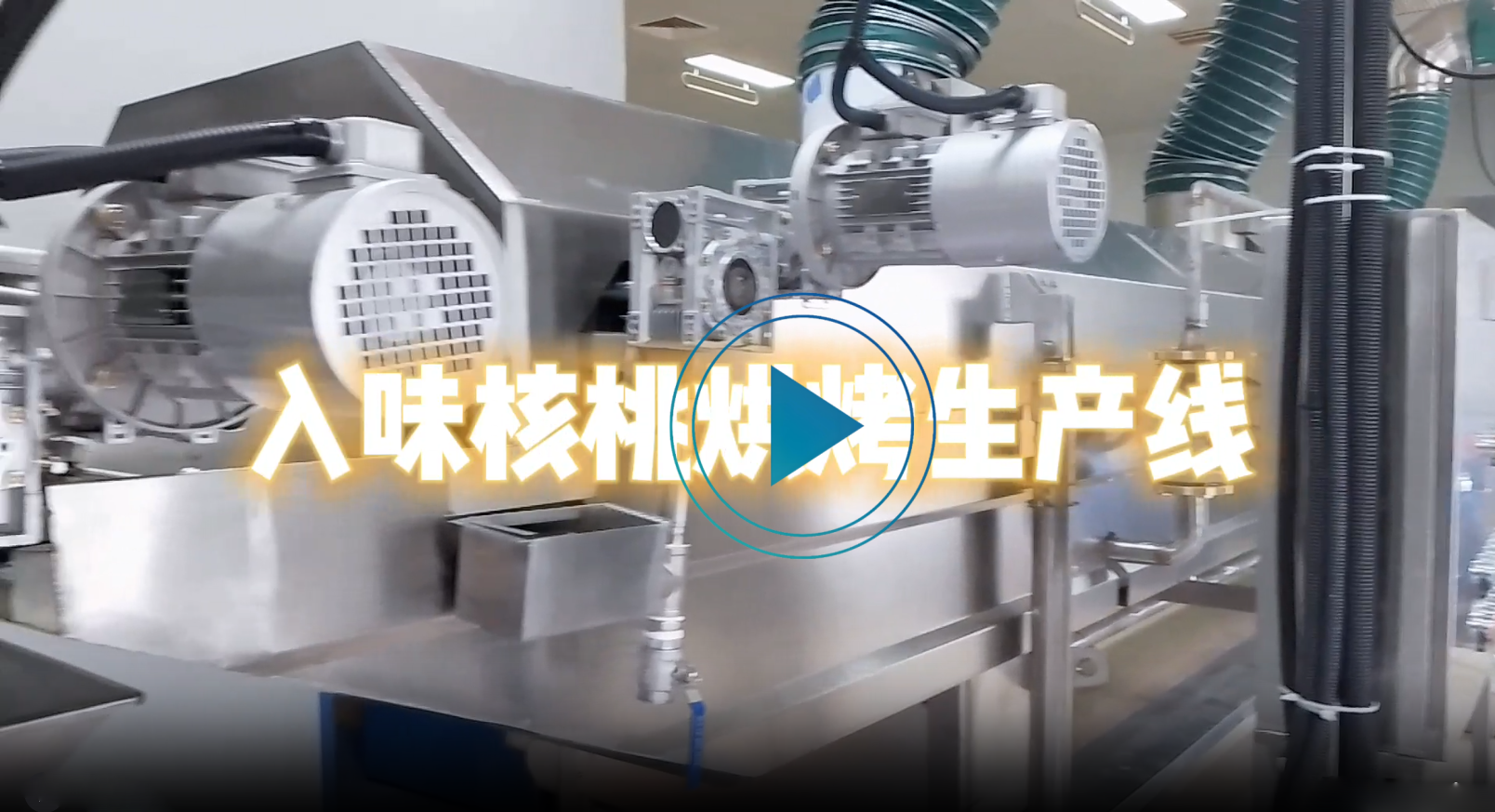 入味核桃烘烤生产线