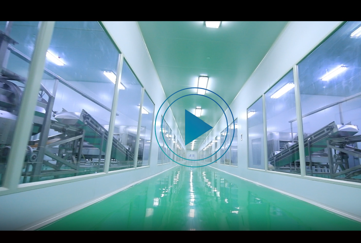 调味果仁烘烤生产线